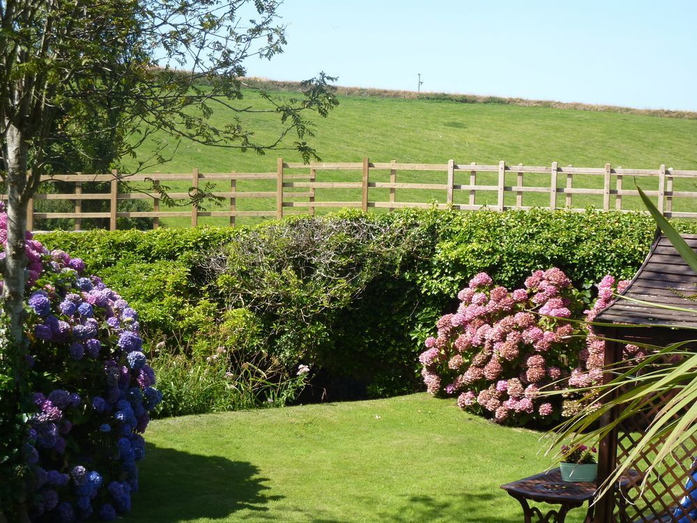 Yr Hen Felin - The Old Mill B&B Morfa Nefyn Exterior photo